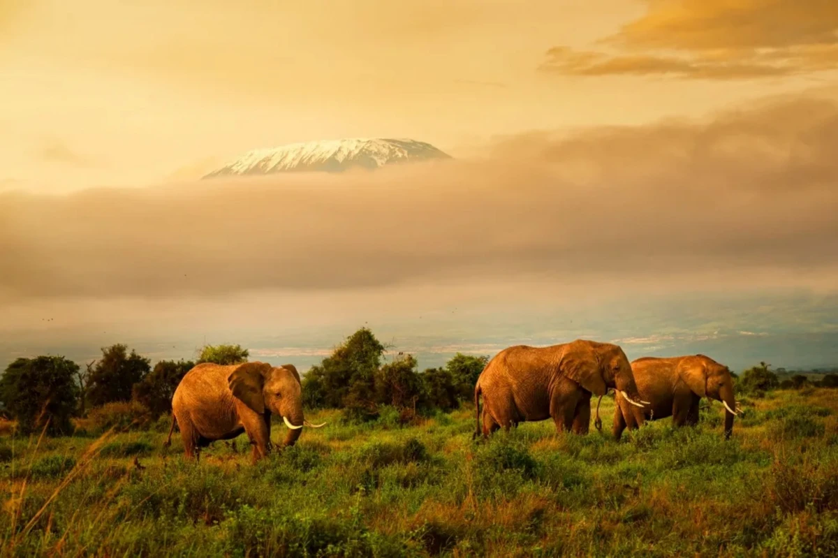 2024年1542 拷贝.jpg