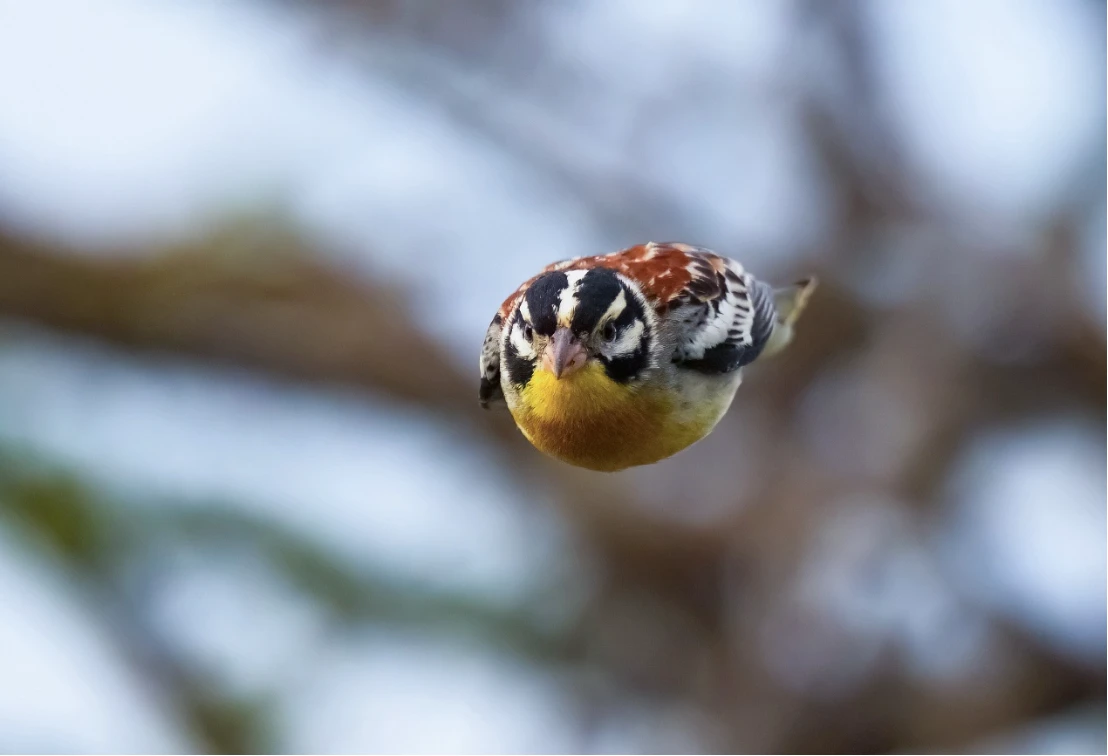 1119 新闻稿_FinalV11418 拷贝.jpg