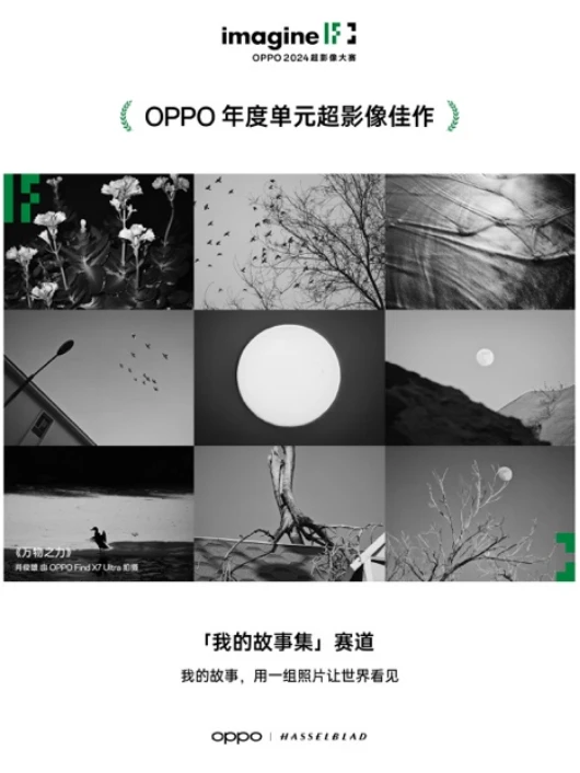 【新闻稿】轻松捕捉生活之美 2024 OPPO超影像大赛获奖作品正式揭晓1707 拷贝.jpg