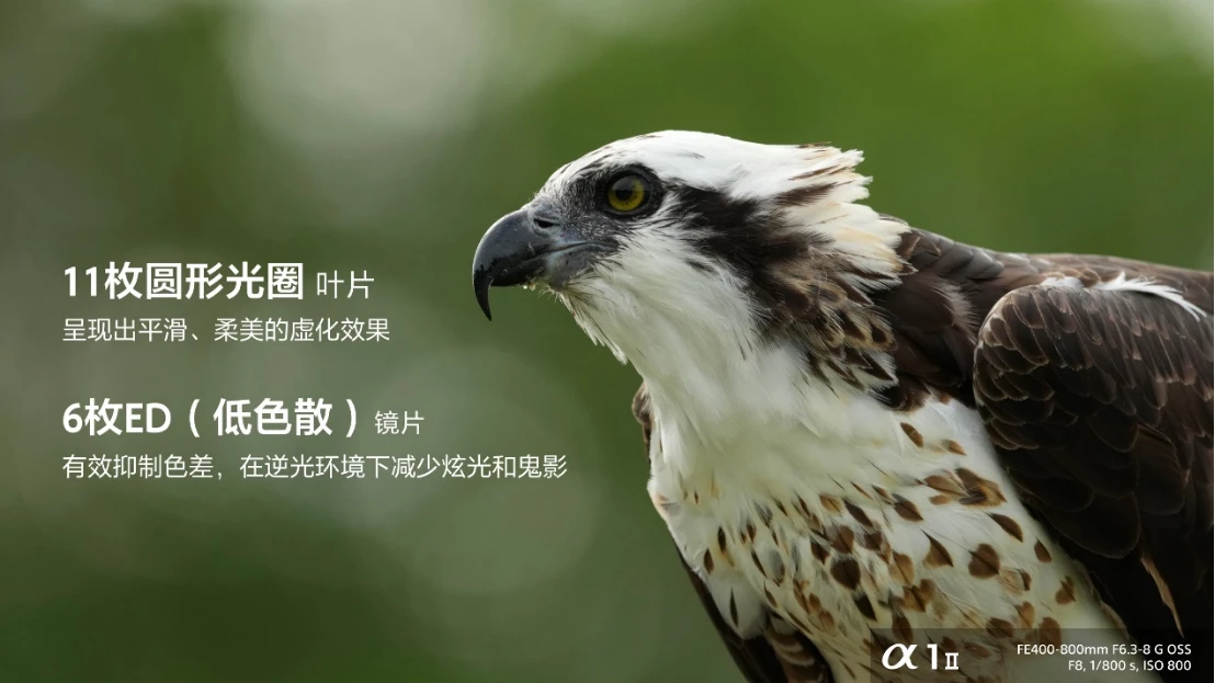 20250227_1740636383798991.jpg VX8042&VX8032新闻稿0226final1116 拷贝.jpg