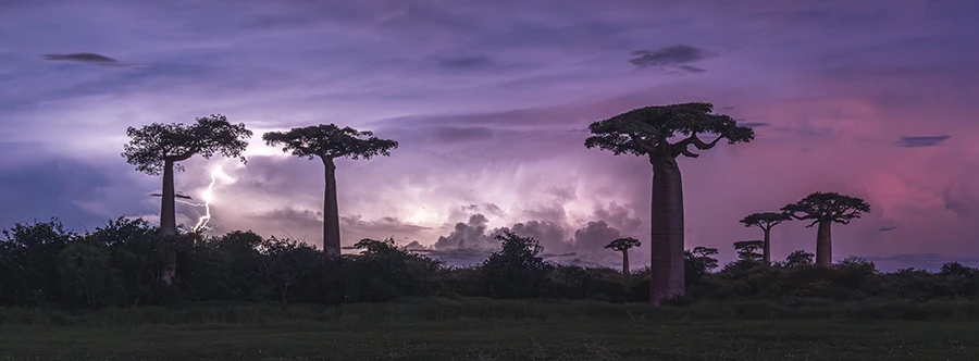 20250611_1749607889790190.jpg DSCF8433-变焦80-6524 拷贝.jpg