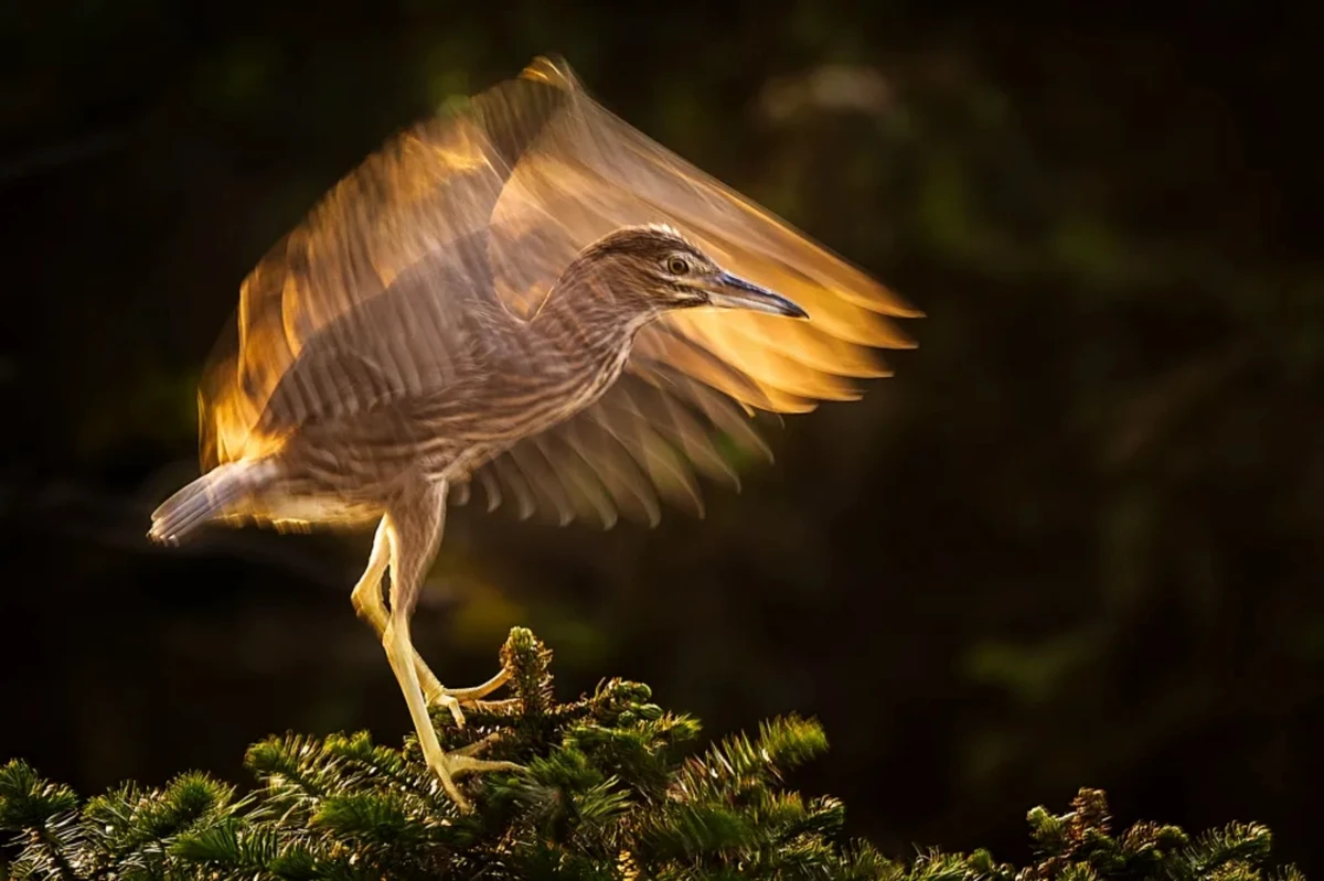 2024年1900 拷贝.jpg