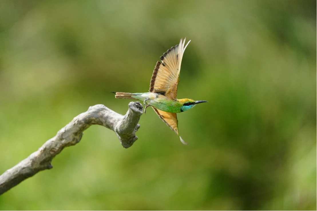 1119 新闻稿_FinalV11396 拷贝.jpg