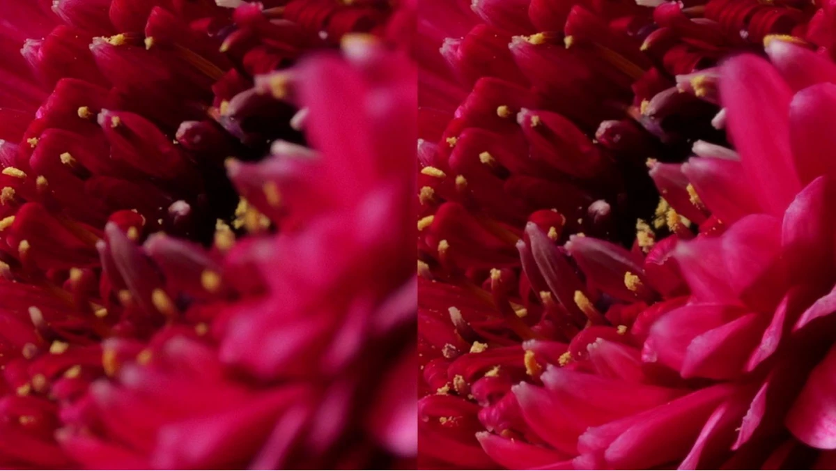 固件更新_不早于0624 0900发布(1)875 拷贝.jpg