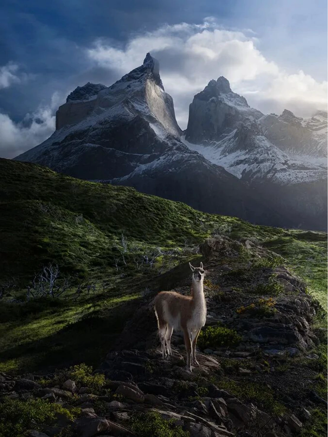 20250916_1757988106278251.jpg 贺进一250 拷贝.jpg