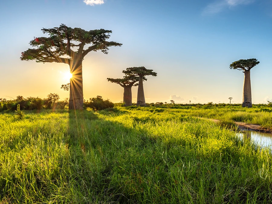 20250611_1749607878530642.jpg DSCF8143低感80.jpg