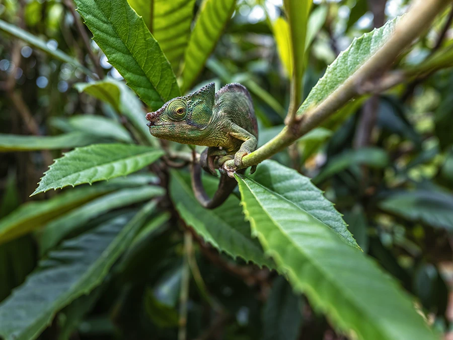 20250611_1749607904365975.jpg _DSF9846 拷贝.jpg