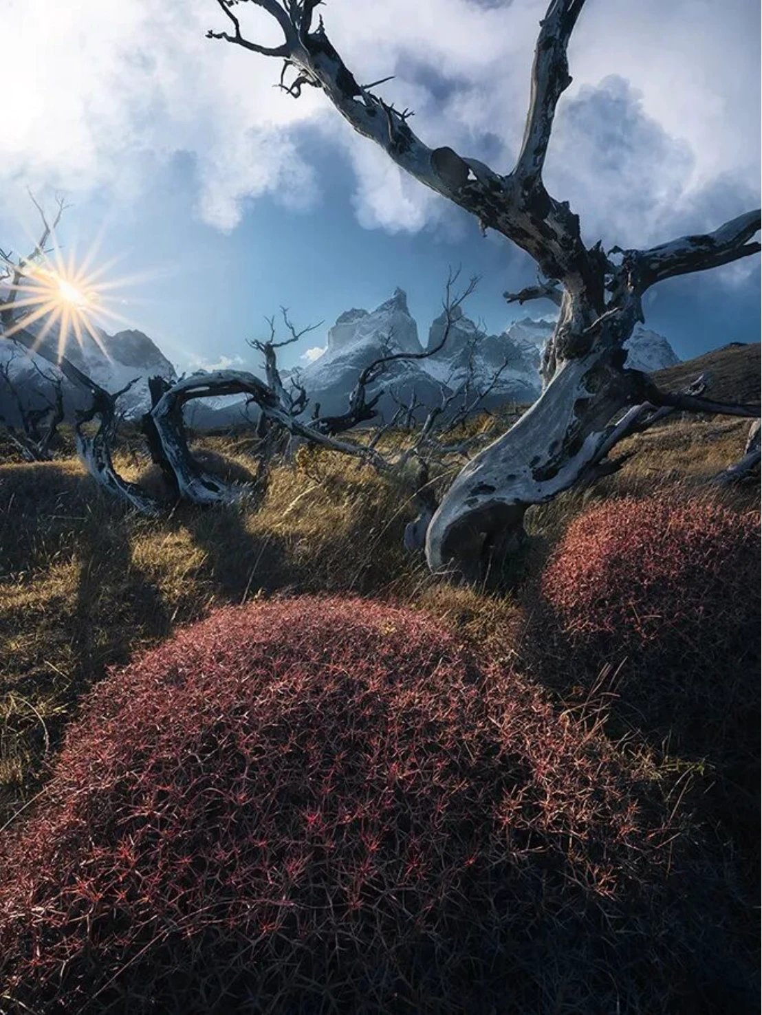 20250916_1757988125796725.jpg 贺进一1196 拷贝.jpg