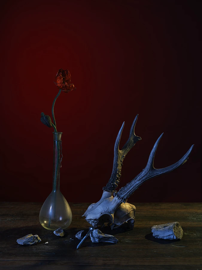 20240418非夕形象照0109 拷贝.jpg