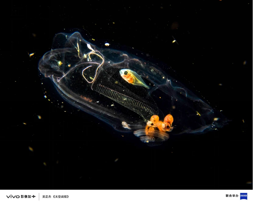 【vivo新闻】 三十载热爱同行，vivo Vision发布会暨影像盛典盛大举办4716 拷贝.jpg