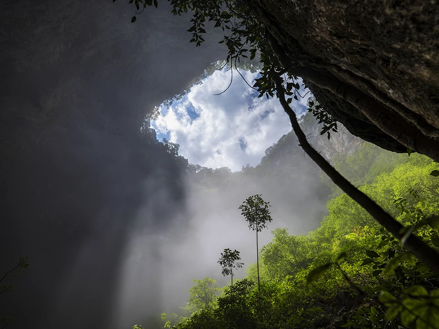《天坑秘境》广西白洞天坑-李晋摄影 .2.jpg