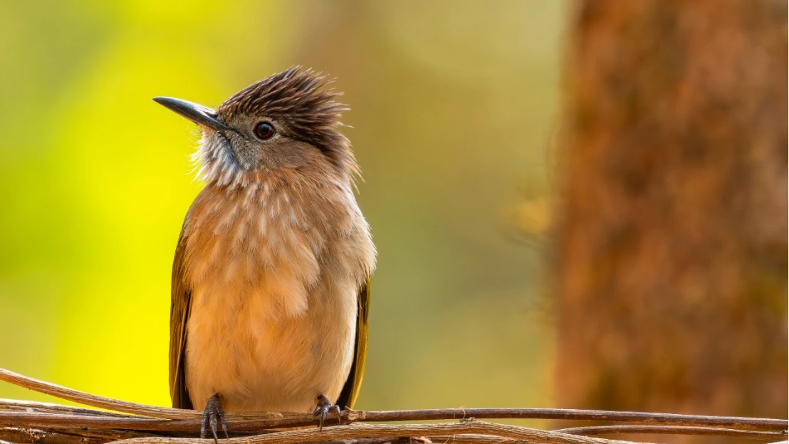 VX8042&VX8032新闻稿0226final663 拷贝.jpg