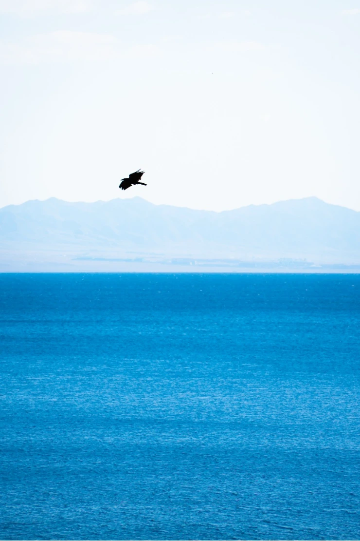 定稿_20-200mm_F3.5-6.3_DG推文1213 拷贝.jpg