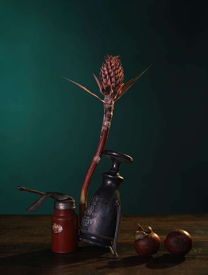 20240423 静物摄影创作0360 拷贝.jpg