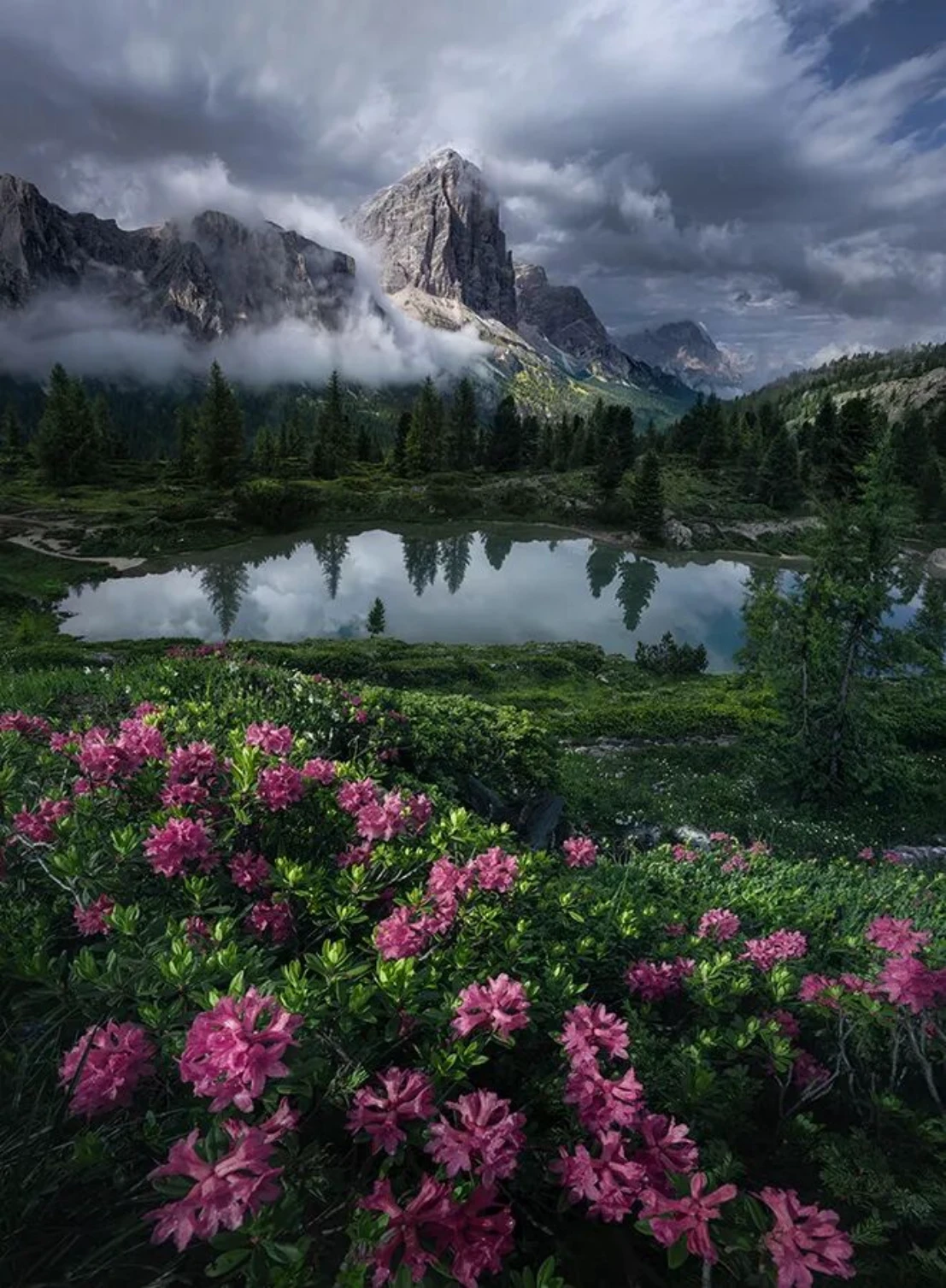 20250916_1757988137478307.jpg 贺进一1791 拷贝.jpg