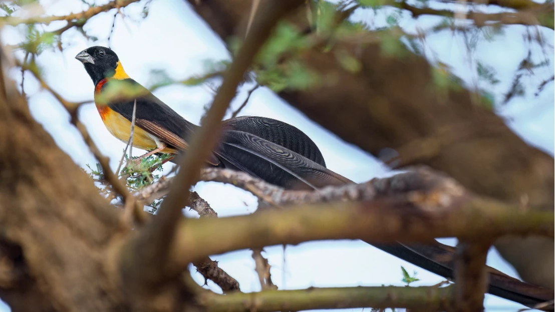 1119 新闻稿_FinalV11369 拷贝.jpg