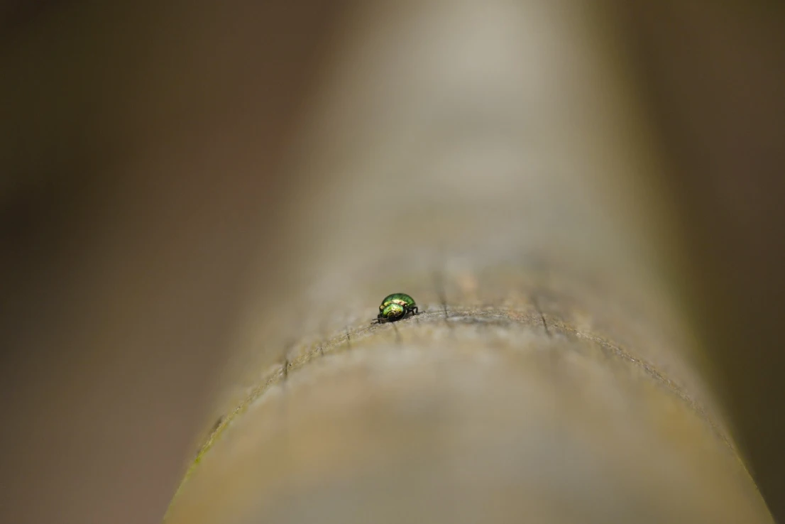 定稿_20-200mm_F3.5-6.3_DG推文472 拷贝.jpg