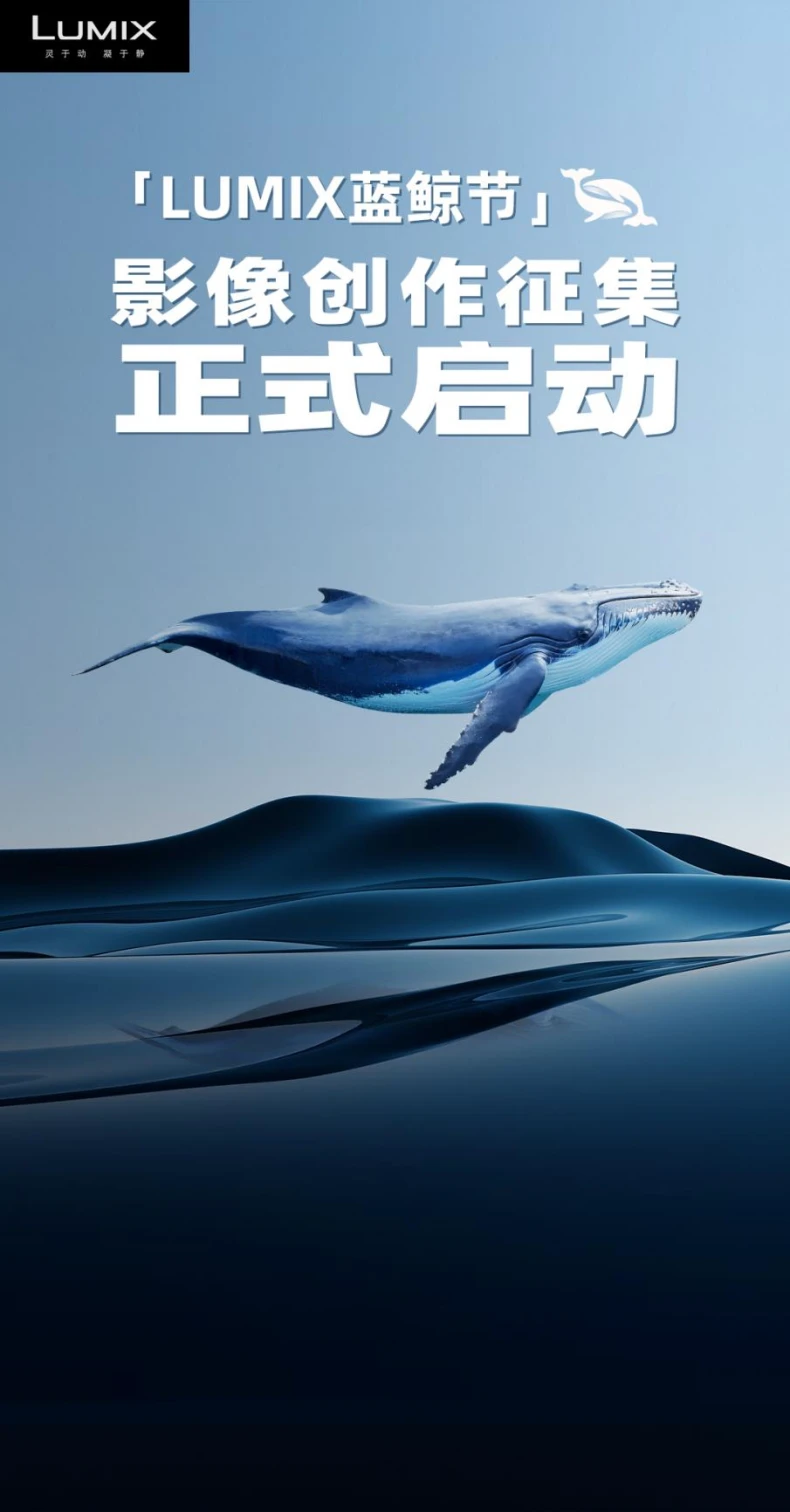 LUMIX蓝鲸征稿19 拷贝.jpg