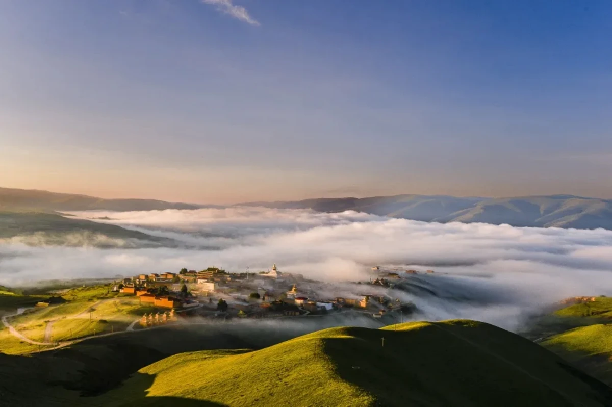 2024年1374 拷贝.jpg