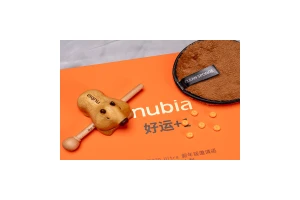 16号正式开售 努比亚Z70 Ultra新年版大橘大利