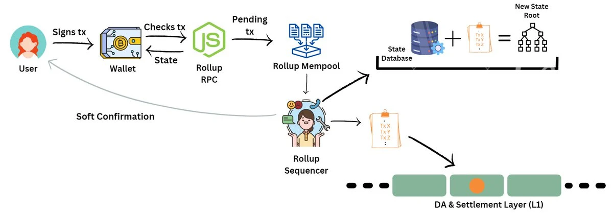 由中心化 Rollup 排序器操作的执行层细分。其职责包括:对事务进行排序、在 DA 层上发布交易数据、创建证明、在结算层上发布证明和状态更改