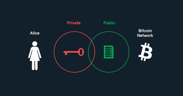 image-20220718163621717