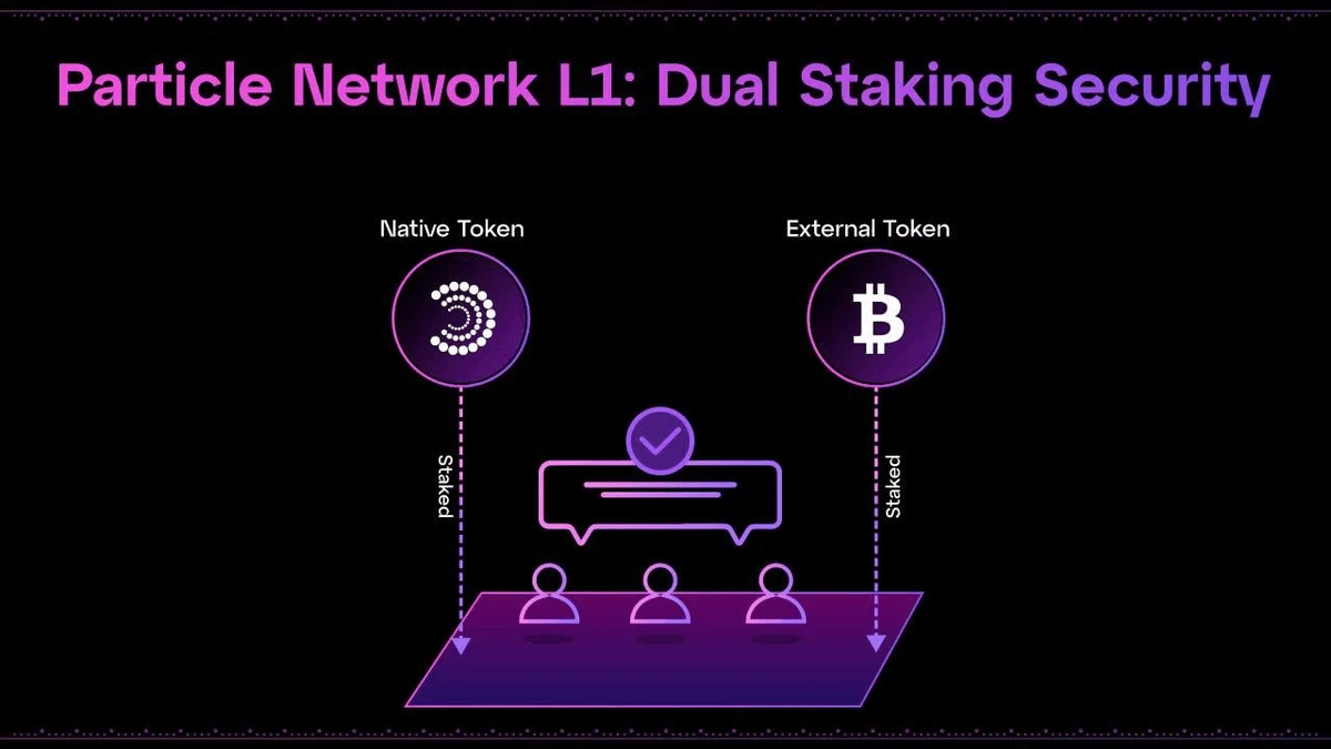 Particle Network 采用了一种双重质押模型，该模型通过与 Babylon 链的集成，利用了网络专有的 PARTI 资产和 BTC。该模型有助于网络实现强大的密码经济安全性，同时能够以多种方式激励网络参与者。(图片来源：通过 Particle Network 文档实现的双重质押)