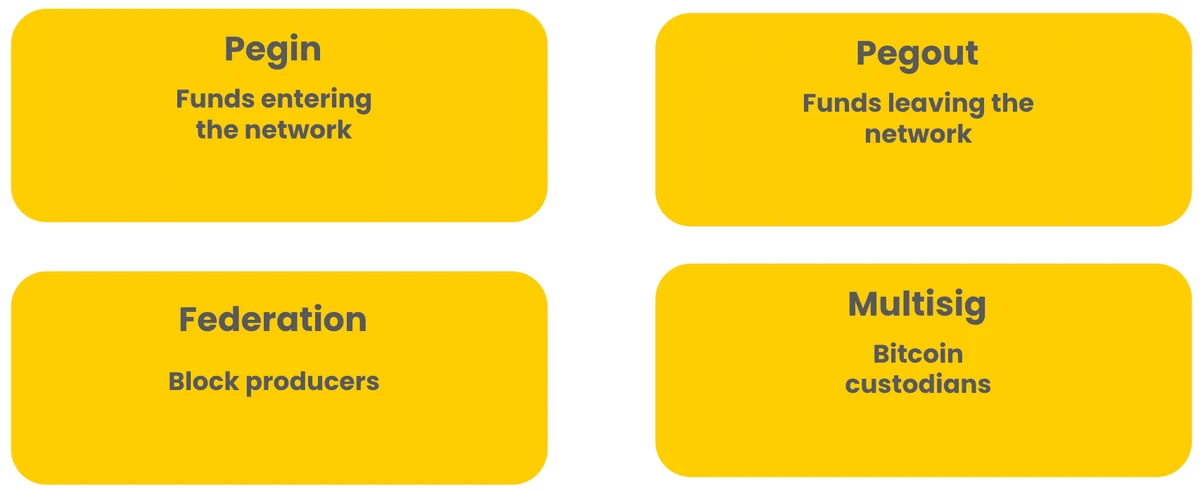 Botanix 联邦使用了四个相互关联的组件：多重签名钱包、联邦区块生产者以及双向桥的 peg-in 和 out peg-out 元素。(图片来源: 通过 Botanix 文档的 Botanix 基本信息)