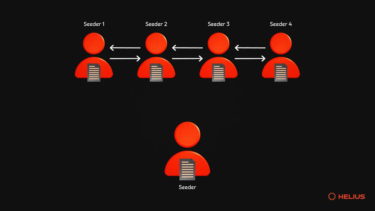 种子如何共享文件