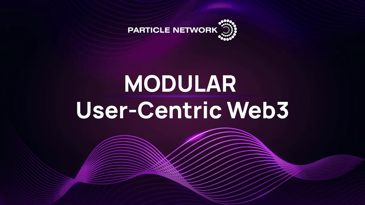 Particle Network 以用户为中心的模块化 Web3 愿景自项目成立以来一直推动着该项目背后的团队的发展，并且在可预见的未来也将继续如此。（图片来源：钱包即服务：模块化地改变 Web3 UX，来自 Particle Network 文档）