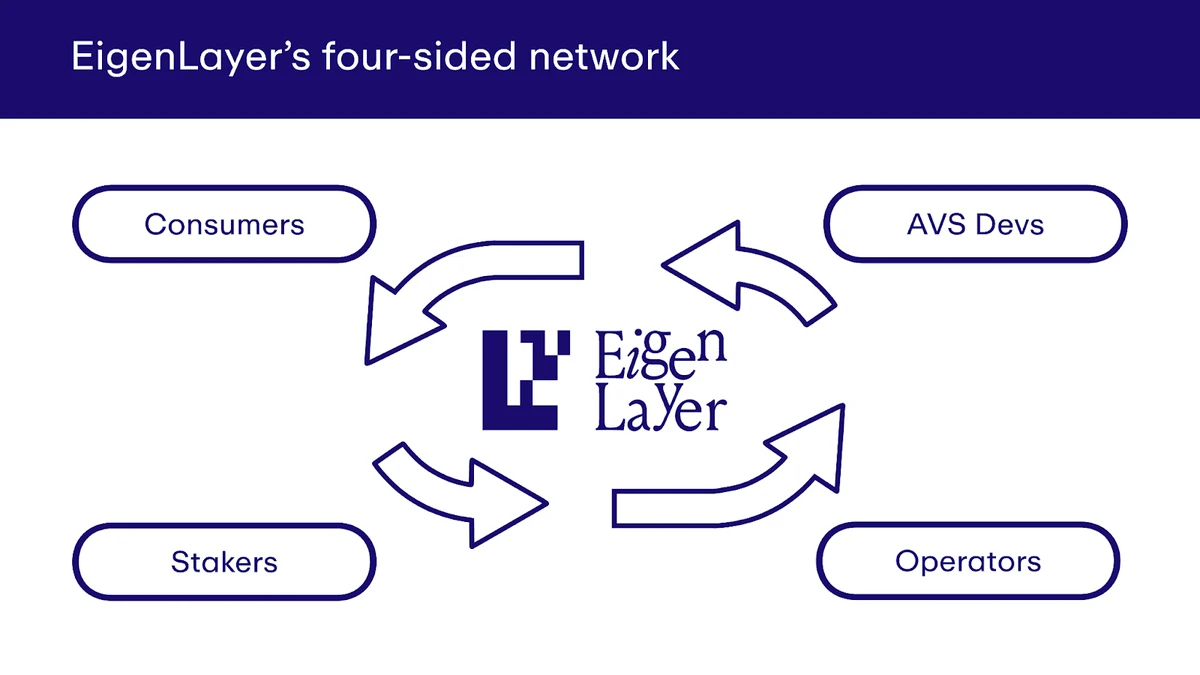 EigenLayer 使用多种网络参与者类型，从而形成一个专注于创新的集体，以合作循环的方式支持彼此并从中受益。（图片来源：通过 EigenLayer 文档获取有关初始 EIGEN 供应的关键信息）