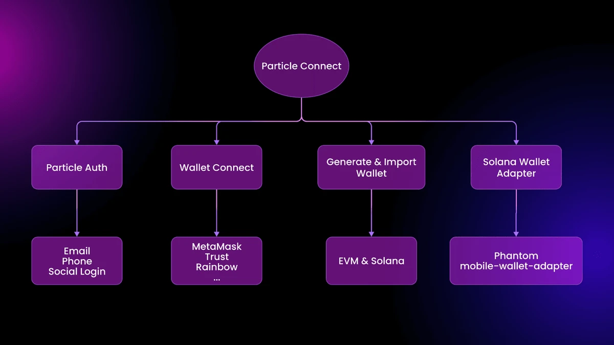 Particle Connect 利用众多集成来实现其作为 Particle Network 和不断增长的 Layer 1 和 Layer 2 区块链中应用程序上手和连接范例的目标。（图片来源：Particle Connect 简介，来自 Particle Network 文档）