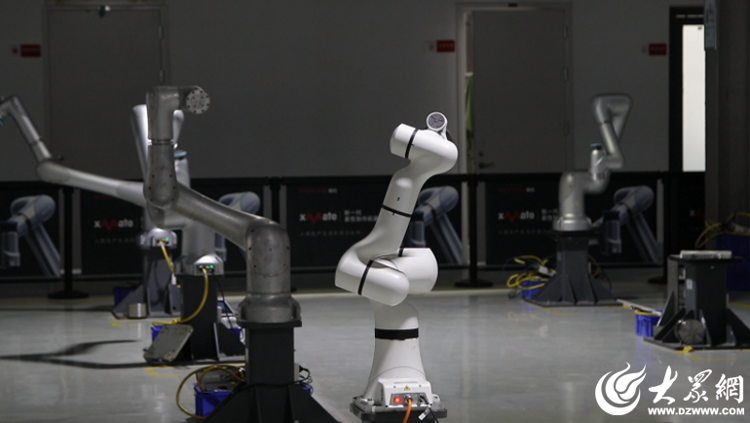 珞石机器人：济宁最炫“打工人”助力千行百业智造升级