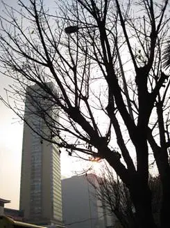 迷人金属卡片相机佳能IXUS95IS评测(10)