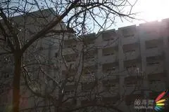 赤壁之战适马24-70佳能24-70对比评测(9)