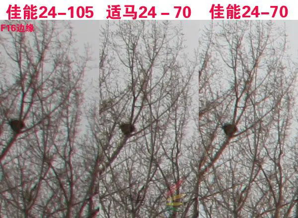 赤壁之战适马24-70佳能24-70对比评测(5)