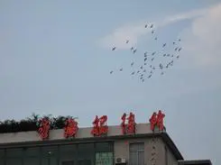 金属卡片超高像素佳能IXUS980IS评测(13)