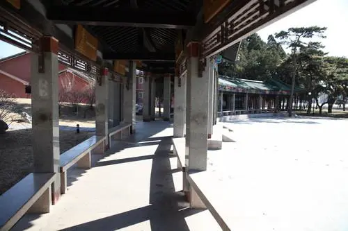 赤壁之战适马24-70佳能24-70对比评测(10)