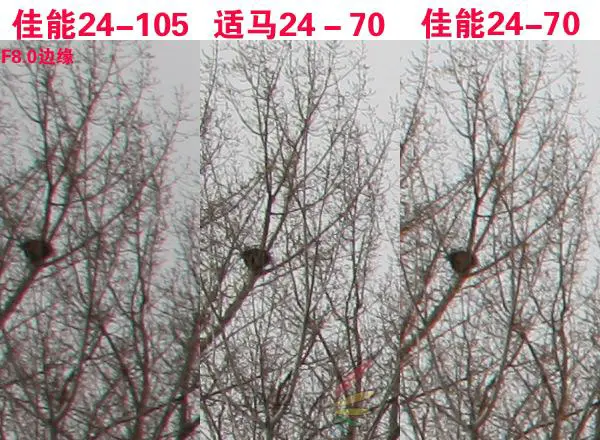 赤壁之战适马24-70佳能24-70对比评测(5)