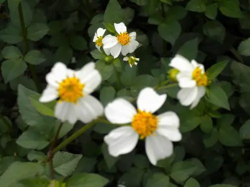 触摸操作新感受时尚尼康S230详细评测(6)