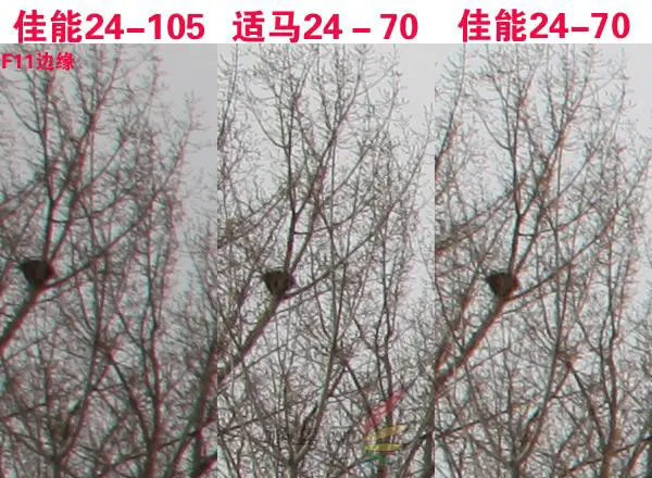 赤壁之战适马24-70佳能24-70对比评测(5)