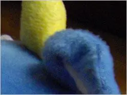 散发高级DC的魅力小巧宾得A36评测(7)