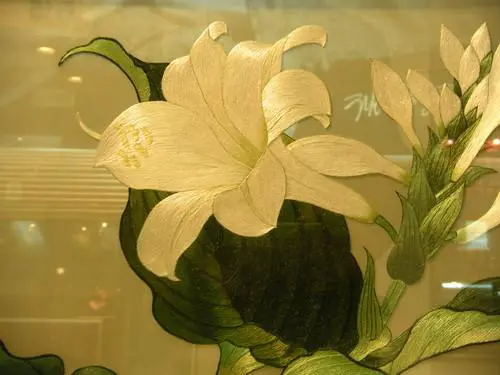 都市先锋六色系尼康COOLPIXS60评测(5)