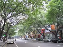 金属卡片超高像素佳能IXUS980IS评测(13)