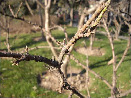 散发高级DC的魅力小巧宾得A36评测(9)