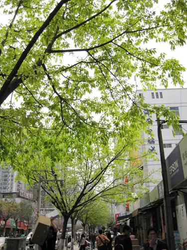 迷人金属卡片相机佳能IXUS95IS评测(7)