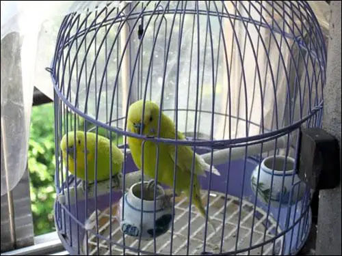 金属卡片超高像素佳能IXUS980IS评测(9)