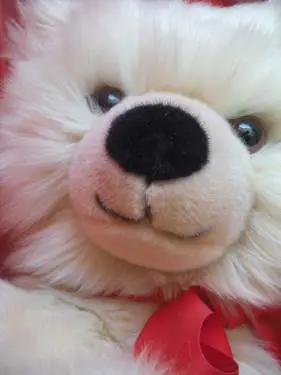 都市先锋六色系尼康COOLPIXS60评测(5)