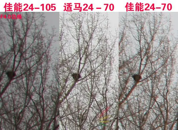 赤壁之战适马24-70佳能24-70对比评测(5)