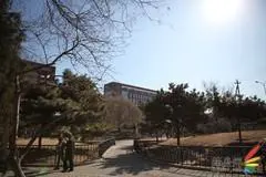 赤壁之战适马24-70佳能24-70对比评测(9)